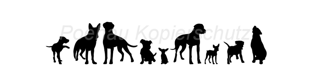 Bild 1 von AvS14341IL4420 Hunde s/w  / (Material) Hartschaum-Rückwand / (Schutzschicht) kein Schutzlack / (Langzeitgarantie) ohne Langzeitgarantie