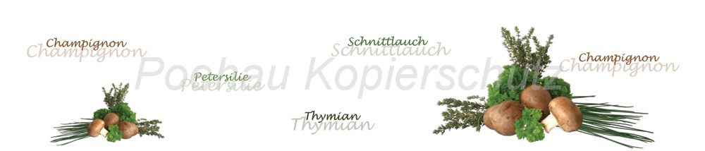 Bild 1 von AvS200518VL0001 Schnittlauch Thymian Pilze  / (Material) Hartschaum-Rückwand / (Schutzschicht) kein Schutzlack / (Langzeitgarantie) ohne Langzeitgarantie