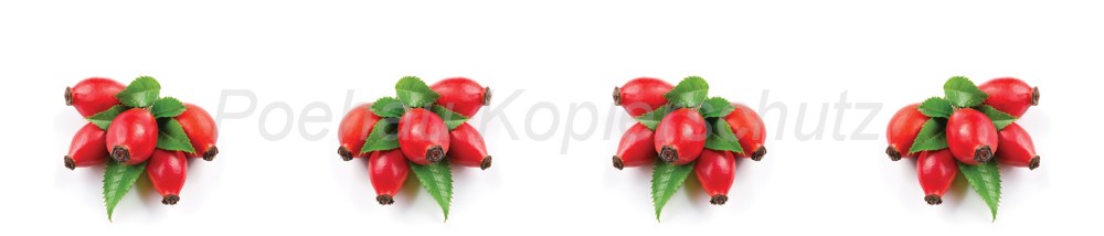 Bild 1 von AvS9906IL5032A Hagebutte rot  / (Material) Hartschaum-Rückwand / (Schutzschicht) UV Hartlack matt / (Langzeitgarantie) ohne Langzeitgarantie