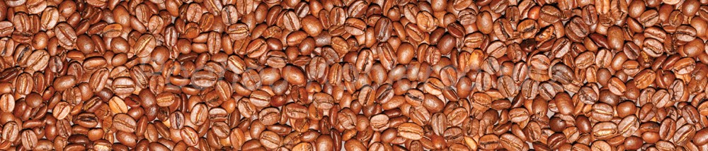 Bild 1 von AvS8979IL6035A Kaffee  / (Material) Hartschaum-Rückwand / (Schutzschicht) UV Hartlack glänzend mit Abperleffekt / (Langzeitgarantie) ohne Langzeitgarantie