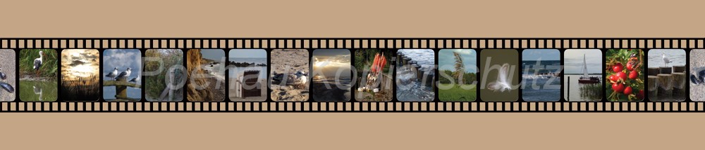 Bild 1 von AvS200826VL0001 Film  / (Material) Hartschaum-Rückwand / (Schutzschicht) kein Schutzlack / (Langzeitgarantie) mit Langzeitgarantie* 3 Jahre