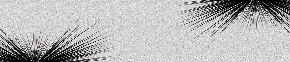 Bild 1 von AvS190722VL0002 Nadeln Nedles schwarz grau Struktur