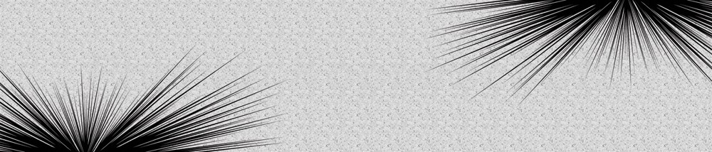 Bild 1 von AvS190722VL0002 Nadeln Nedles schwarz grau Struktur  / (Material) Acryl-Rückwand / (Schutzschicht) für Wandverklebung / (Langzeitgarantie) ohne Langzeitgarantie*