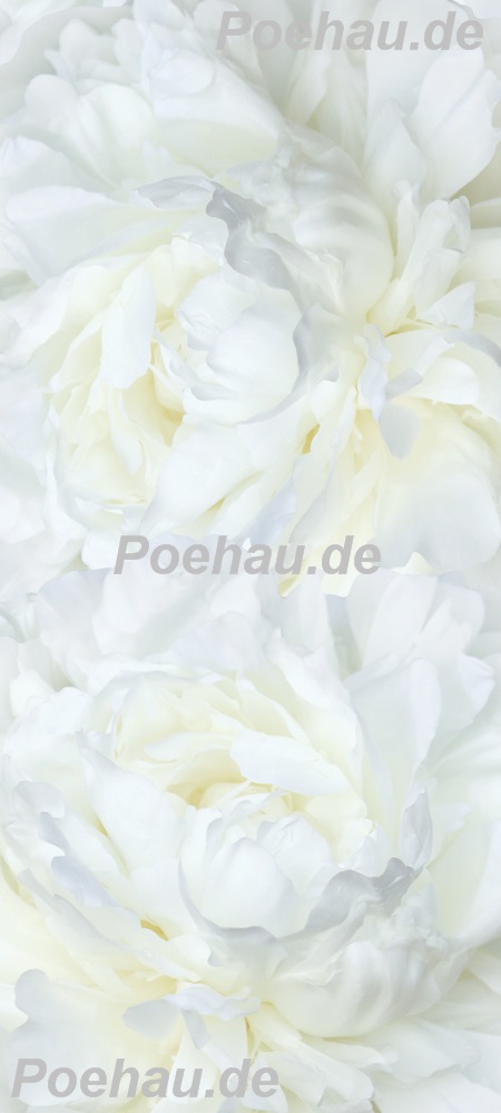 Bild 1 von Bad13677VL5365 Blumen pastell  / (Material) Hartschaum-Rückwand / (Schutzschicht) UV Hartlack matt / (Langzeitgarantie) ohne Langzeitgarantie
