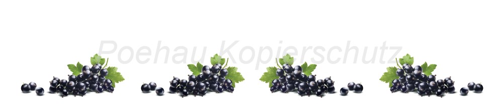 Bild 1 von AvS9986IL8225A Johannisbeere schwarz  / (Material) Hartschaum-Rückwand / (Schutzschicht) UV Hartlack matt / (Langzeitgarantie) ohne Langzeitgarantie