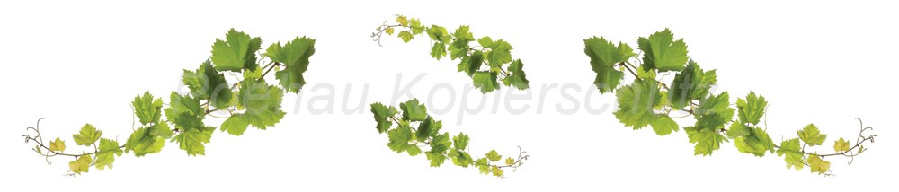 Bild 1 von AvS6913IL0457 Weinlaub  / (Material) Hartschaum-Rückwand / (Schutzschicht) UV Hartlack glänzend mit Abperleffekt / (Langzeitgarantie) ohne Langzeitgarantie