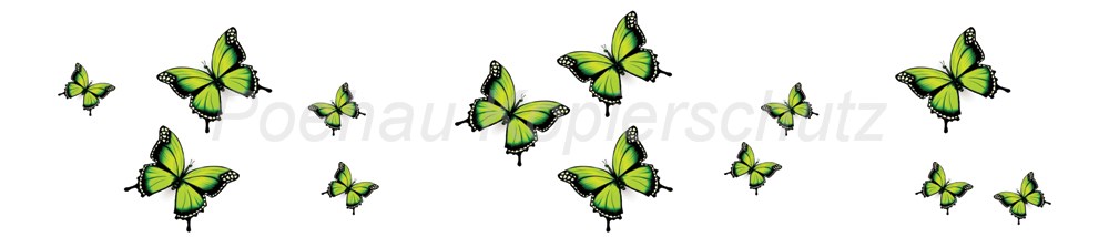 Bild 1 von AvS11590TL6558F Schmetterling grün schwarz
