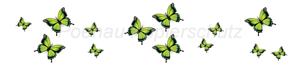 Bild 1 von AvS11590TL6558F Schmetterling grün schwarz  / (Material) Hartschaum-Rückwand / (Schutzschicht) UV Hartlack matt / (Langzeitgarantie) ohne Langzeitgarantie