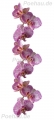 Bad191112VL0001 Orchidee  / (Material) Acryl-Rückwand / (Schutzschicht) für Wandverklebung / (Langzeitgarantie) mit Langzeitgarantie* 