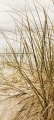 Bad2627VL1786B Strand Gras  / (Material) Hartschaum-Rückwand / (Schutzschicht) UV Hartlack glänzend mit Abperleffekt / (Langzeitgarantie) ohne Langzeitgarantie