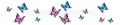 Bild 1 von AvS11590TL6558J Schmetterling blau lila schwarz  / (Material) Acryl-Rückwand / (Schutzschicht) für Wandverschraubung / (Langzeitgarantie) mit Langzeitgarantie* 3 Jahre