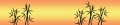 AvS190925VL0002 Bambus orange  / (Material) Acryl-Rückwand / (Schutzschicht) für Wandverklebung / (Langzeitgarantie) mit Langzeitgarantie* 