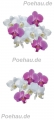 Bad200130VL0001 Orchidee  / (Material) Hartschaum-Rückwand / (Schutzschicht) UV Hartlack glänzend / (Langzeitgarantie) ohne Langzeitgarantie