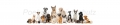 AvS13927IL3200 Hund Katze Maus  / (Material) Aluverbund-Rückwand / (Schutzschicht) UV Hartlack matt / (Langzeitgarantie) ohne Langzeitgarantie