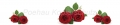 AvS9965IL3267A rote Rosen  / (Material) Acryl-Rückwand / (Schutzschicht) für Wandverklebung / (Langzeitgarantie) ohne Langzeitgarantie*