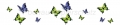 AvS11590TL6558I Schmetterling grün blau schwarz  / (Material) Aluverbund-Rückwand / (Schutzschicht) UV Hartlack matt / (Langzeitgarantie) ohne Langzeitgarantie