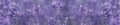 AvS12291IL9981 Lavendel  / (Material) Acryl-Rückwand / (Schutzschicht) für Wandverklebung / (Langzeitgarantie) mit Langzeitgarantie* 3 Jahre