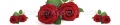 AvS9965IL3267C rote Rosen  / (Material) Acryl-Rückwand / (Schutzschicht) für Wandverschraubung / (Langzeitgarantie) mit Langzeitgarantie* 3 Jahre