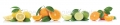 AvS10680IL5211B Limetten Orangen Zitrusfrüchte  / (Material) Acryl-Rückwand / (Schutzschicht) für Wandverschraubung / (Langzeitgarantie) ohne Langzeitgarantie