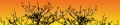 AvS190313VL0001C Äste Busch orange  / (Material) Aluverbund-Rückwand / (Schutzschicht) UV Hartlack glänzend / (Langzeitgarantie) mit Langzeitgarantie* 5 Jahre