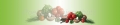 AvS200610VL0001 Schnittlauch Thymian Tomate  Pilze  / (Material) Aluverbund-Rückwand / (Schutzschicht) UV Hartlack matt / (Langzeitgarantie) mit Langzeitgarantie* 5 Jahre