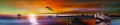 AvS8130IL2069 See Boot Möve Leuchtturm  / (Material) Aluverbund-Rückwand / (Schutzschicht) UV Hartlack glänzend mit Abperleffekt / (Langzeitgarantie) ohne Langzeitgarantie