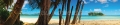 AvS10505IL0062 Strand Palmen  / (Material) Aluverbund-Rückwand / (Schutzschicht) UV Hartlack glänzend / (Langzeitgarantie) ohne Langzeitgarantie