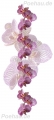 Bad191112VL0002 Orchidee  / (Material) Aluverbund-Rückwand / (Schutzschicht) UV Hartlack glänzend / (Langzeitgarantie) ohne Langzeitgarantie