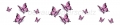 AvS11590TL6558G Schmetterling lila pink schwarz  / (Material) Acryl-Rückwand / (Schutzschicht) für Wandverklebung / (Langzeitgarantie) ohne Langzeitgarantie*