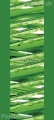 Bad5713IL2916 Gras Tropfen  / (Material) Aluverbund-Rückwand / (Schutzschicht) UV Hartlack glänzend mit Abperleffekt / (Langzeitgarantie) mit Langzeitgarantie* 5 Jahre