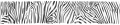 AvS8961IL4896B Zebra Grautöne  / (Material) Acryl-Rückwand / (Schutzschicht) für Wandverklebung / (Langzeitgarantie) ohne Langzeitgarantie*