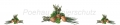AvS200518VL0002 Schnittlauch Thymian Pilze