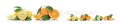 AvS10680IL5211C Limetten Orangen Zitrusfrüchte  / (Material) Aluverbund-Rückwand / (Schutzschicht) UV Hartlack matt / (Langzeitgarantie) ohne Langzeitgarantie