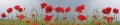 AvS12197IL1473 Mohn Feld