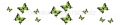 AvS11590TL6558F Schmetterling grün schwarz  / (Material) Aluverbund-Rückwand / (Schutzschicht) UV Hartlack matt / (Langzeitgarantie) ohne Langzeitgarantie
